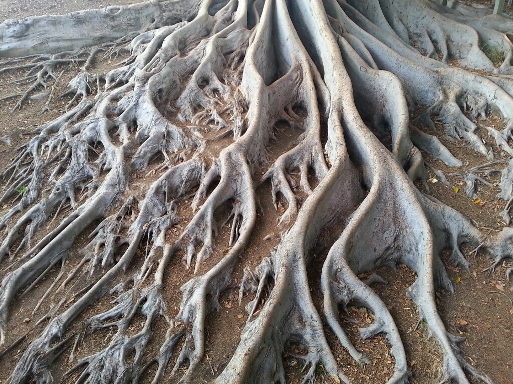 Philosophy Subjects List