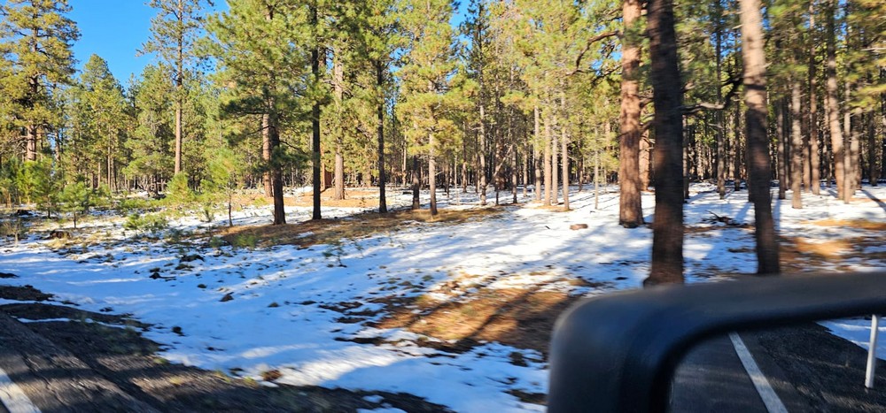 WhatsApp Image 2024-10-20 at 16.11.41_f8701561